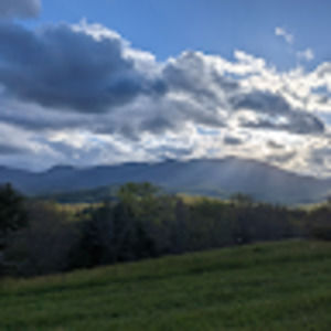 Meet your Posher, Austin